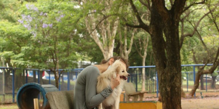 Cade Aprova Fusão entre Petz e Cobasi com Restrições e Impacto no Mercado Pet Imagem do artigo