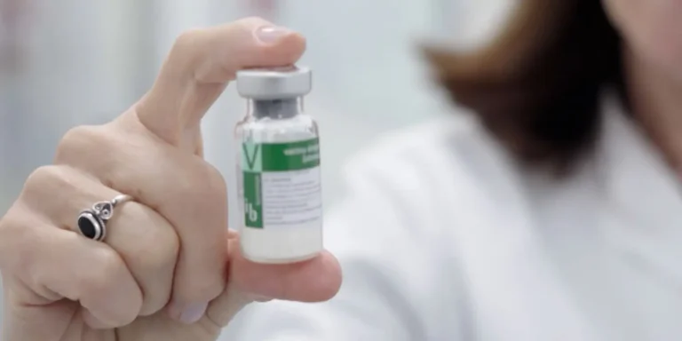 Vacinação Contra a Dengue: Novo Plano do Ministério da Saúde Promete Inovação Imagem do artigo