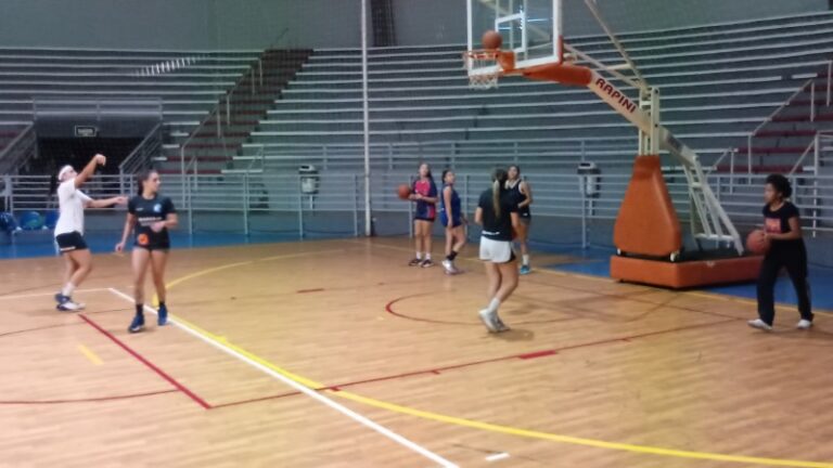 Audiência Pública sobre Políticas Esportivas em Araras: Participe e Faça a Diferença! Imagem do artigo