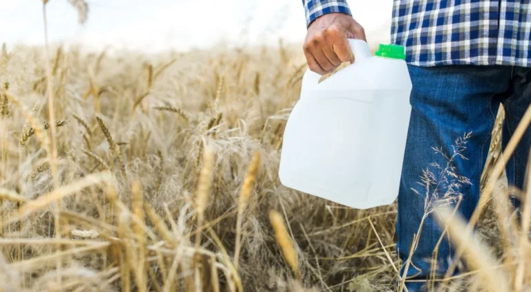 Posto de Recebimento de Embalagens de Agrotóxicos em Caruaru: Uma Iniciativa Sustentável