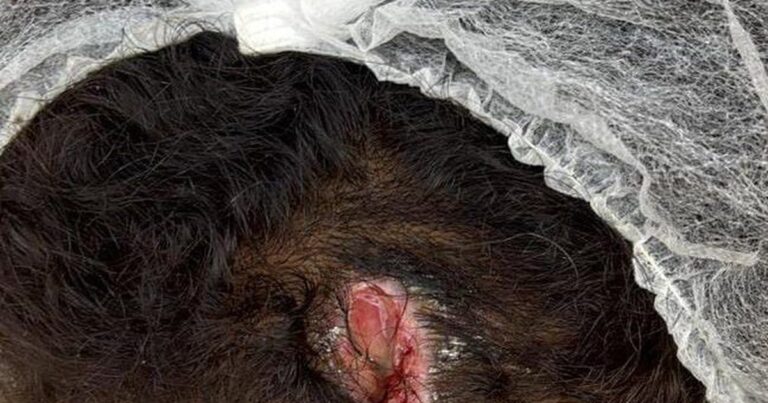 Agressor é Detido por Violência Doméstica em Caruaru (PE): Entenda o Caso