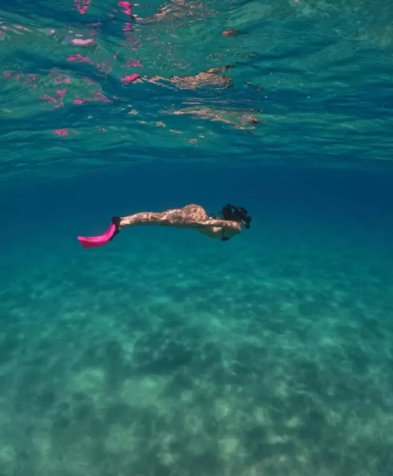 Isis Valverde Nada com Tartarugas em Fernando de Noronha e Encanta Fãs Isis Valverde Nada com Tartarugas em Fernando de Noronha e Encanta Fãs