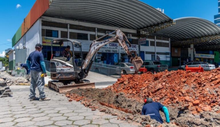 Mogi das Cruzes Se Destaca com Avanços na Agricultura e Segurança Alimentar Mogi das Cruzes Se Destaca com Avanços na Agricultura e Segurança Alimentar