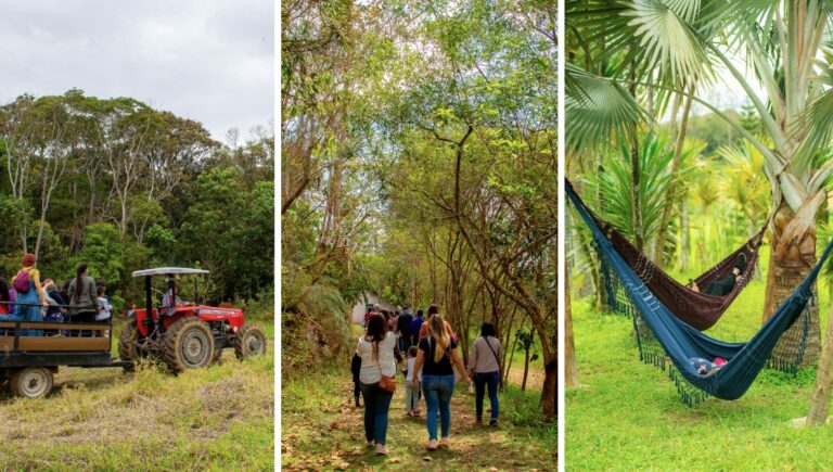 SP Produz: Unindo Sustentabilidade e Cultura em São Paulo SP Produz: Unindo Sustentabilidade e Cultura em São Paulo