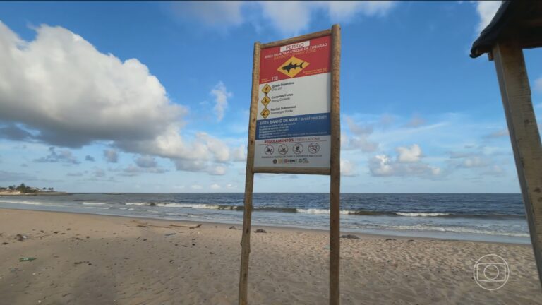 Tragédia em Olinda: Adolescente de 13 anos Morre Após Ataque de Tubarão Tragédia em Olinda: Adolescente de 13 anos Morre Após Ataque de Tubarão