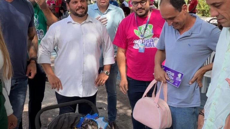 Anderson Correia Lança Campanha de Castração em Pernambuco: Um Avanço para o Controle Populacional