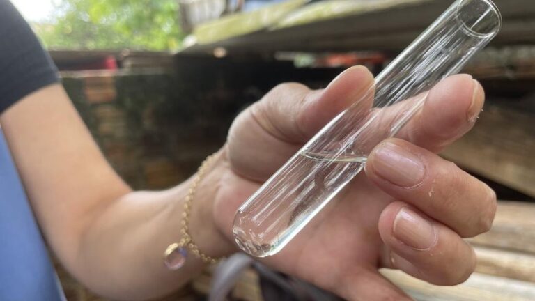 Aumento de Focos do Mosquito da Dengue em Rio Grande: Alerta à População