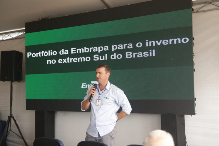 Cereais de Inverno: Uma Alternativa Sustentável para Rotação com Arroz e Soja