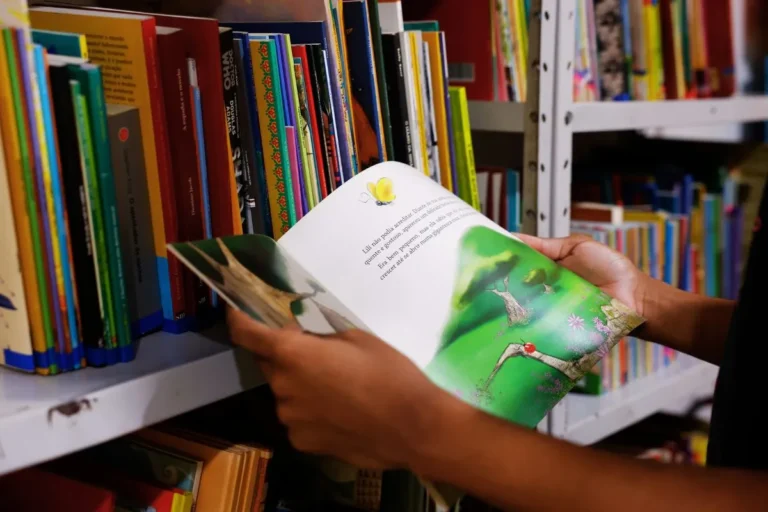 Educação no Brasil: História, Sistema e Desafios do Ensino Nacional