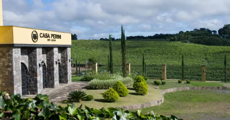 Experiência Única na Saga da Uva da Casa Perini: Cultura e Enoturismo Experiência Única na Saga da Uva da Casa Perini: Cultura e Enoturismo