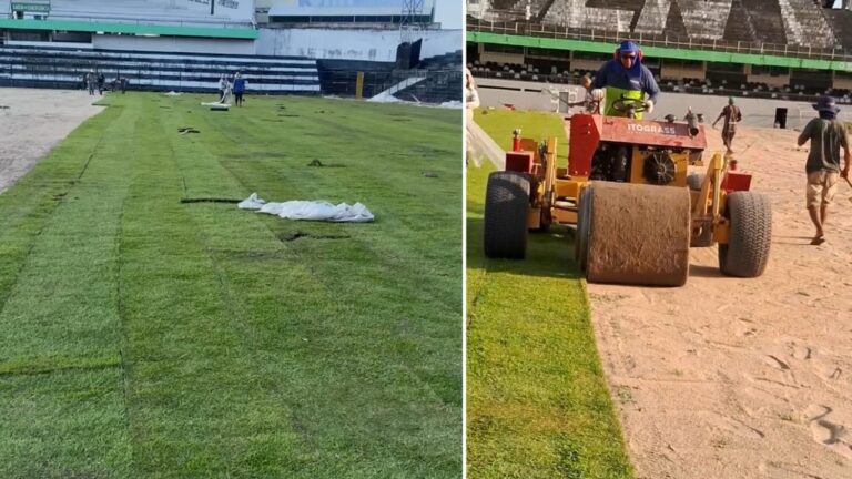 Novo Gramado do Lacerdão: Transformação em Andamento no Central