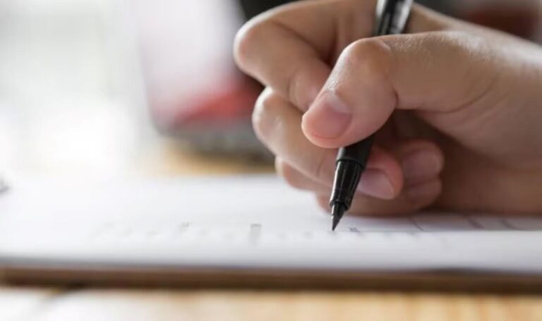 Terezinha Lança Concurso com 49 Vagas e Salários de Até R$ 3,7 Mil