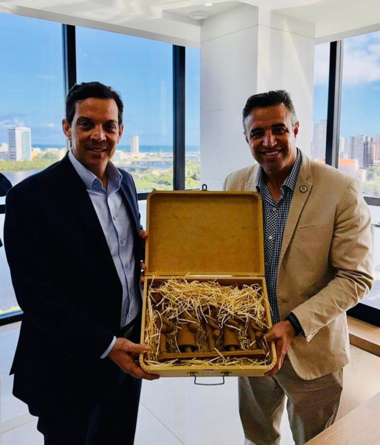 Câmara de Caruaru Debate Cultura, Causa Animal e Infraestrutura Urbana