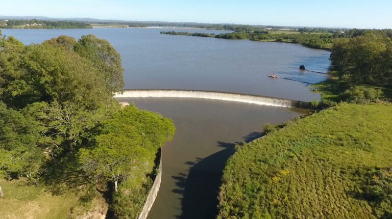 Dia Mundial da Água: Sanep Promove Consciência Sustentável em Pelotas