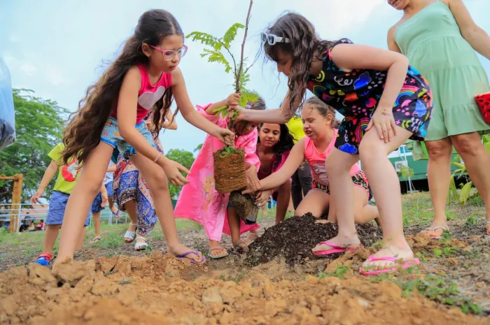 Domingo no Parque: Nova Iniciativa em Caruaru Promove Cultura e Sustentabilidade Domingo no Parque: Nova Iniciativa em Caruaru Promove Cultura e Sustentabilidade