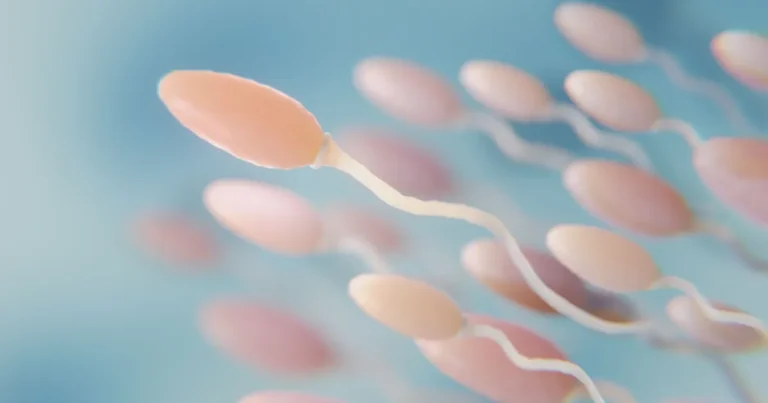 Esperma e Saúde: O Que um Espermograma Pode Revelar Sobre o Seu Bem-Estar Esperma e Saúde: O Que um Espermograma Pode Revelar Sobre o Seu Bem-Estar