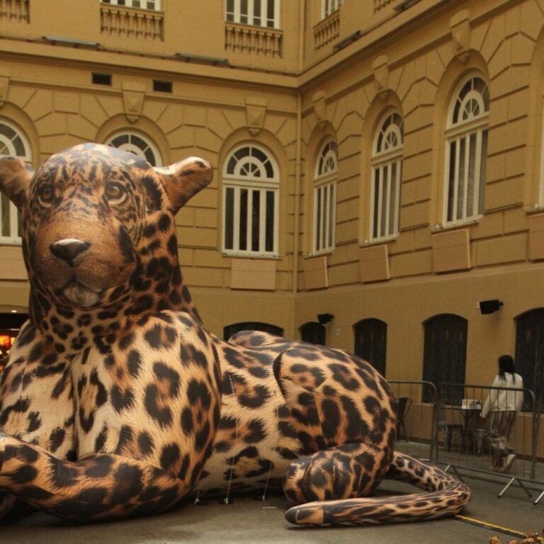 Exposição no CCBB-BH Revela o Meme como Forma de Cultura e Crítica Social