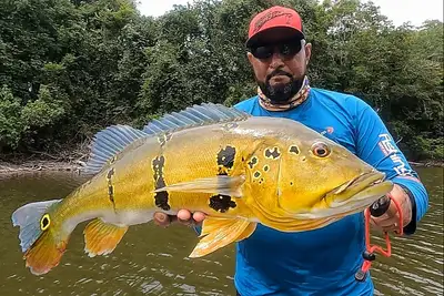 Pará Regulamenta Pesca Esportiva e Impulsiona Política Ambiental na Amazônia Oriental Pará Regulamenta Pesca Esportiva e Impulsiona Política Ambiental na Amazônia Oriental