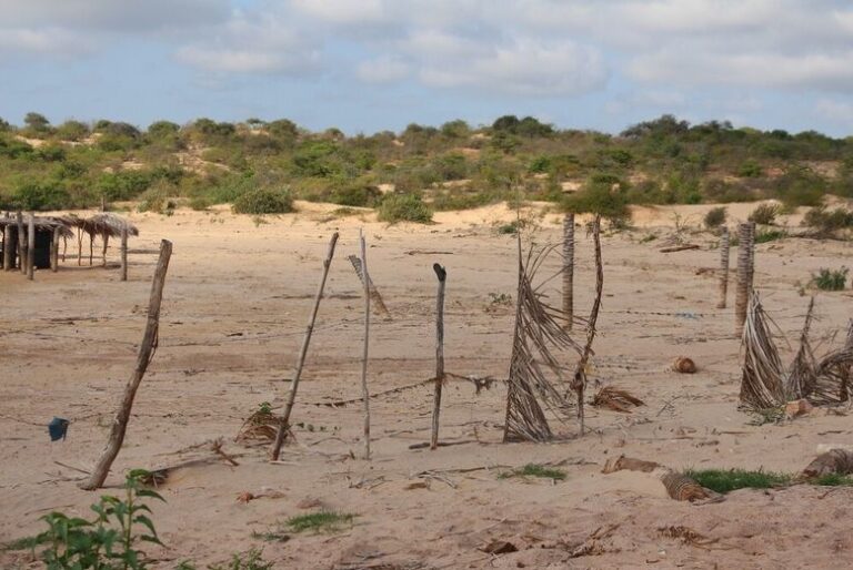 Pernambuco: 90% do Território em Risco de Desertificação - Encontros para Combate à Crise
