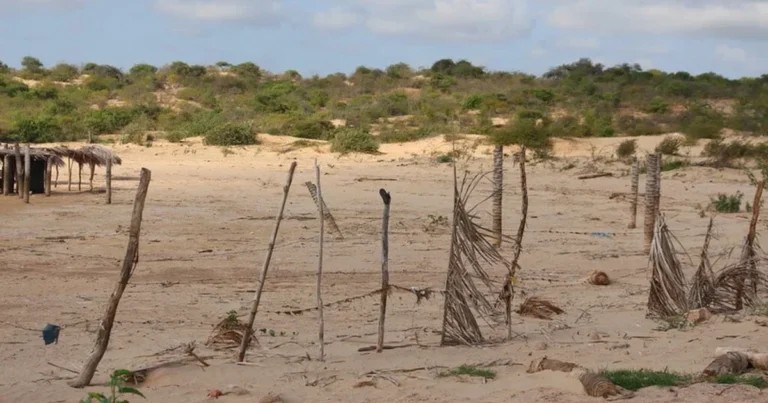 Pernambuco Luta Contra Desertificação: Seminários Começam em 23 de Março