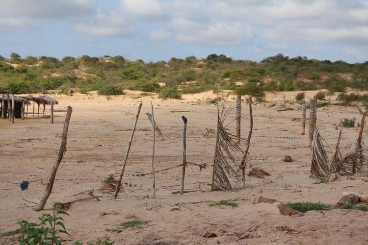 Pernambuco Realiza Seminários para Combater Desertificação e Seca Pernambuco Realiza Seminários para Combater Desertificação e Seca