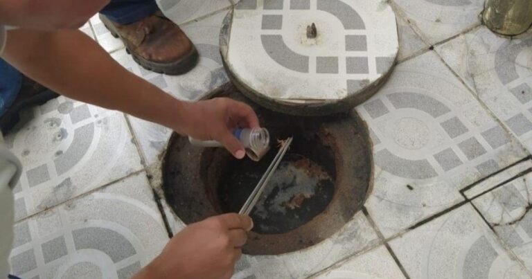 Prevenção e Atendimento em Picadas de Escorpião: Cuidados Essenciais em Maceió