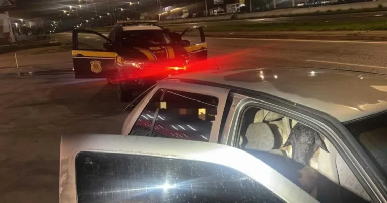 PRF Descobre 18 Bodes em Carro e Registra Sete Mortes em Caruaru