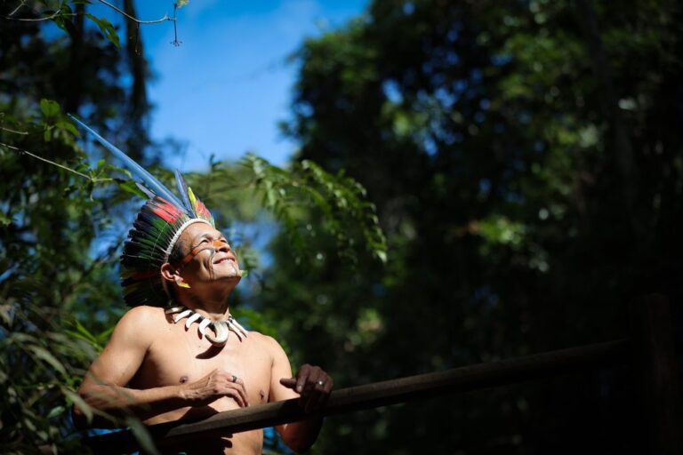 Explore 16 Aldeias para Vivenciar a Cultura Indígena em São Paulo