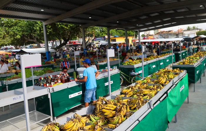 Investimentos do Estado Impulsionam Infraestrutura Econômica em Buritirama, Chorrochó e Mutuípe Investimentos do Estado Impulsionam Infraestrutura Econômica em Buritirama, Chorrochó e Mutuípe