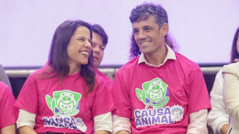 Programa de Castração de Pernambuco: 10 mil Animais em Menos de 3 Meses