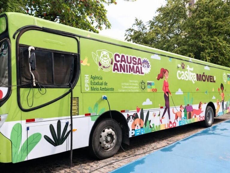 Programa de Castração em Pernambuco: Iniciativa Gratuita Chega a Caruaru Programa de Castração em Pernambuco: Iniciativa Gratuita Chega a Caruaru