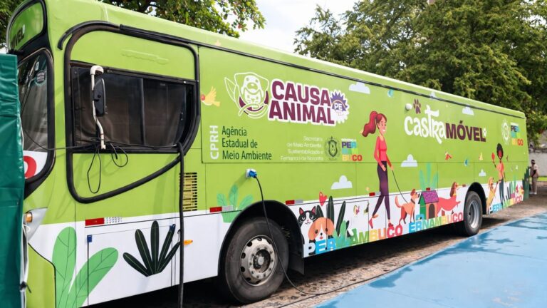 Programa Gratuito de Castração em Caruaru: Agende seu Atendimento Programa Gratuito de Castração em Caruaru: Agende seu Atendimento