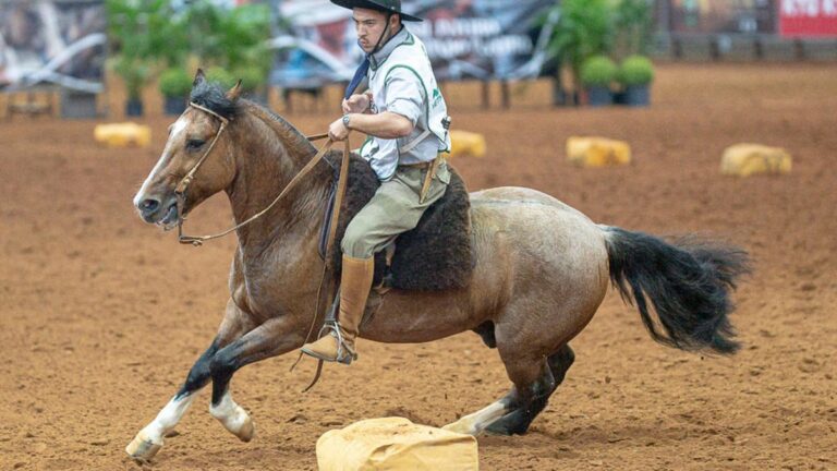 Rodeio Internacional de Pelotas: 29ª Edição Promete Atrair 20 Mil Visitantes