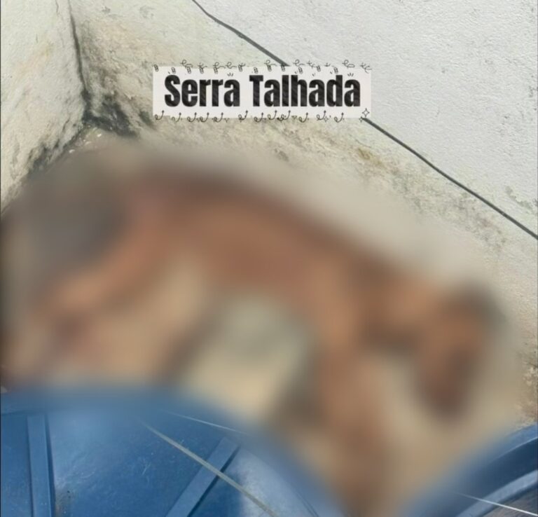 Advogado e Vereador de Caruaru Denuncia Maus-Tratos a Animais em Serra Talhada