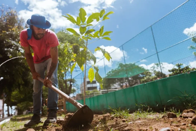 Caruaru Avança em Compensação Ambiental com Plantio de Árvores e Incentivo à Doação de Mudas