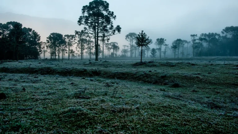 Mais frio e chuva acima da média: como será o clima no Brasil em julho 2026